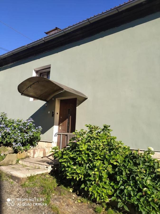 Penzion U Lipy Decin Exterior photo